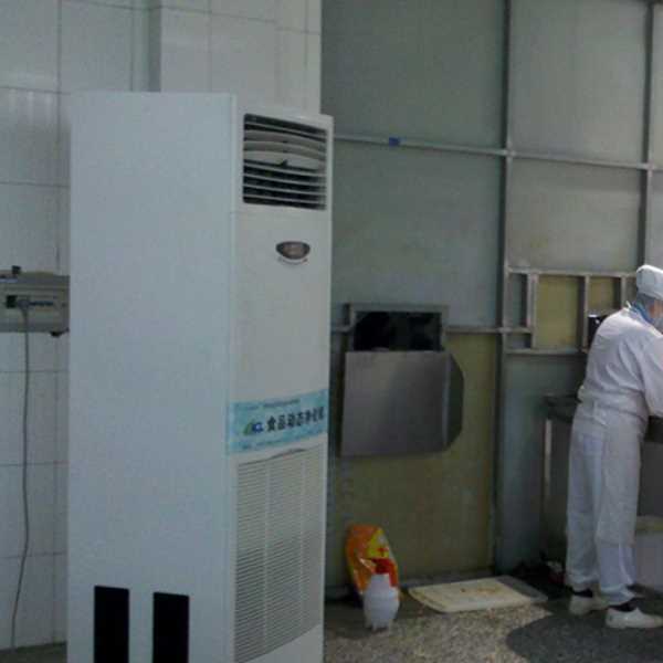 湘西食品正负离子空气杀菌器